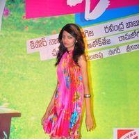 Dear Audio Release - Pictures | Picture 133740